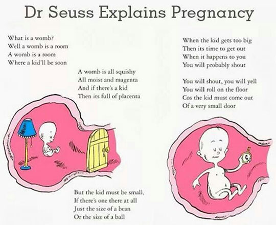 When+Dr.+Seuss+Explains+Pregnancy