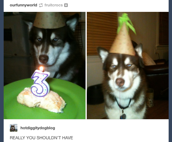 Much+excitement%21+Very+impressed%21