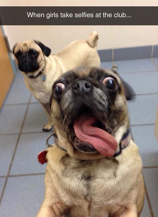 Taking+Selfies+At+The+Club