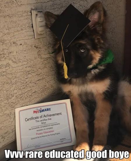 Vvvv+Rare+Educated+Good+Boye