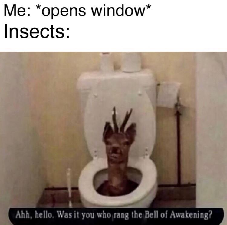 I+have+come+for+your+soul+blood%26%238230%3B