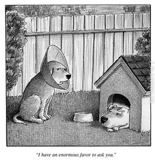 Someone%26%238217%3Bs+Gotta+Do+It