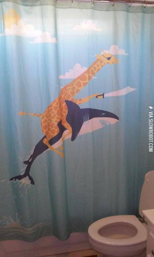 This+shower+curtain+is+far+cooler+than+I%26%238217%3Bll+ever+be.