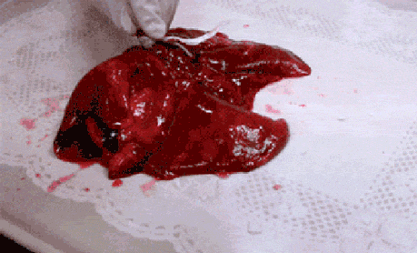 Filling+Lungs+With+Air