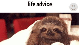 Life+Advice