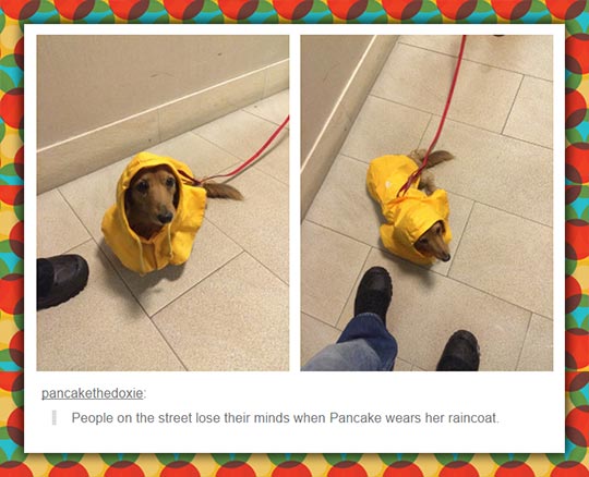 Pancake+Has+Awesome+Style