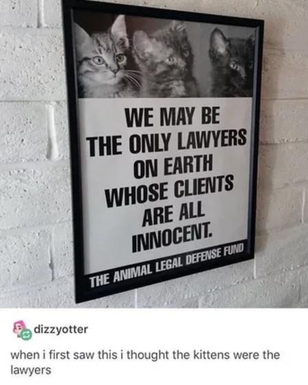 The+good+kind+of+lawyer