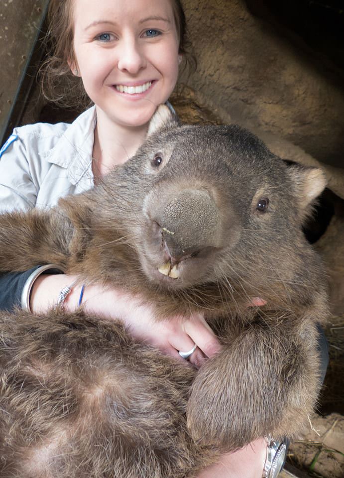 Patrick%2C+the+world%26%238217%3Bs+oldest+wombat