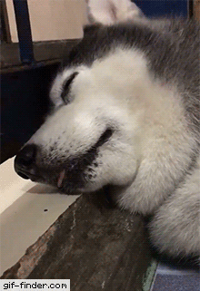 Getting+rudely+awoken