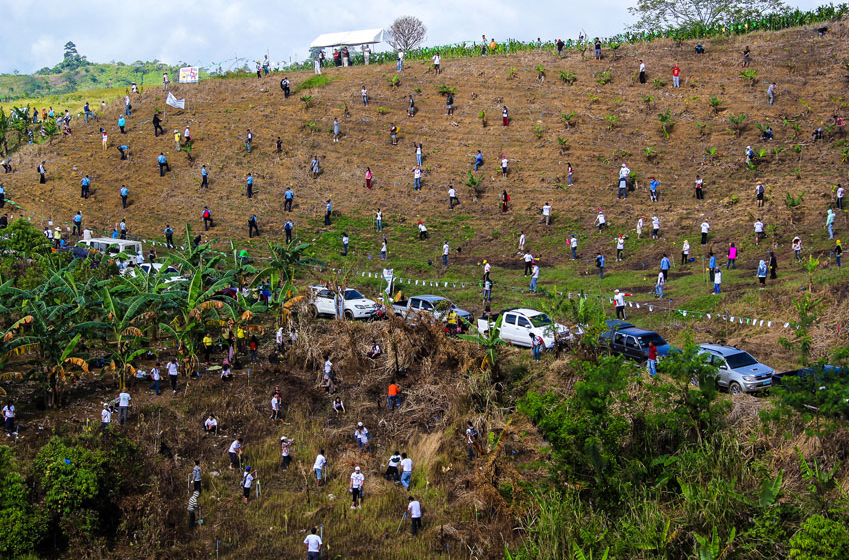 In+2014%2C+The+Philippines+broke+World+Record+by+planting+more+than+3+million+trees+in+an+hour
