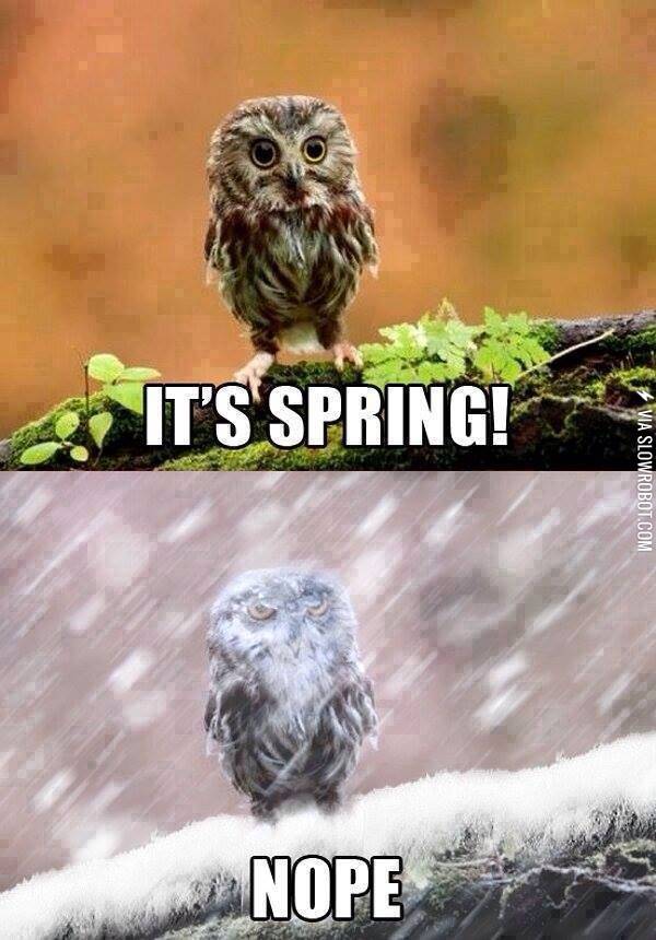 Meanwhile+in+Good+ol%26%238217%3B+Canada