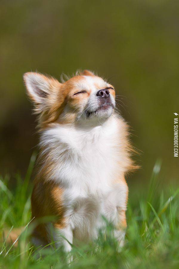 Enjoying+the+sunshine