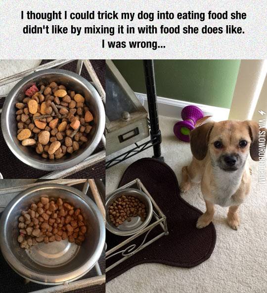 Really+Man%3F+I+Thought+I+Was+Your+Best+Friend