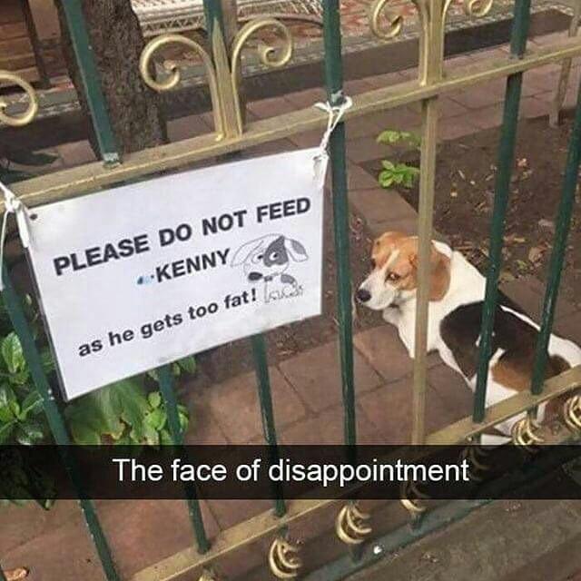 The+face+of+disappointment