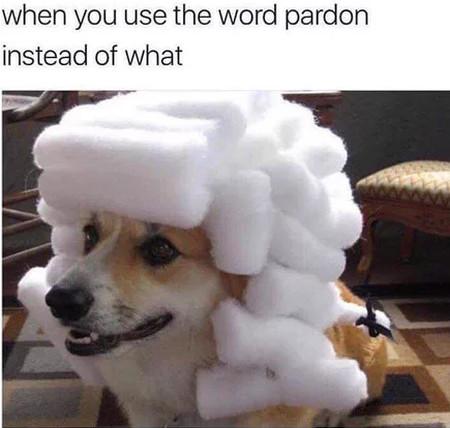 When+You+Use+The+Word+Pardon+Instead+Of+What%26%238230%3B