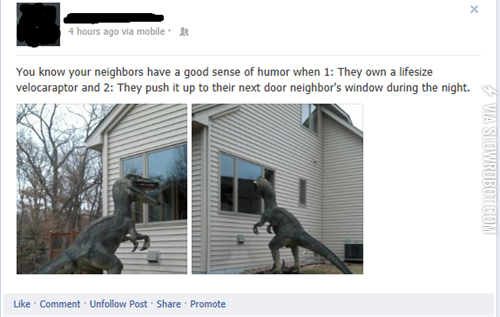 You+know+your+neighbors+have+a+good+sense+of+humor+when%26%238230%3B