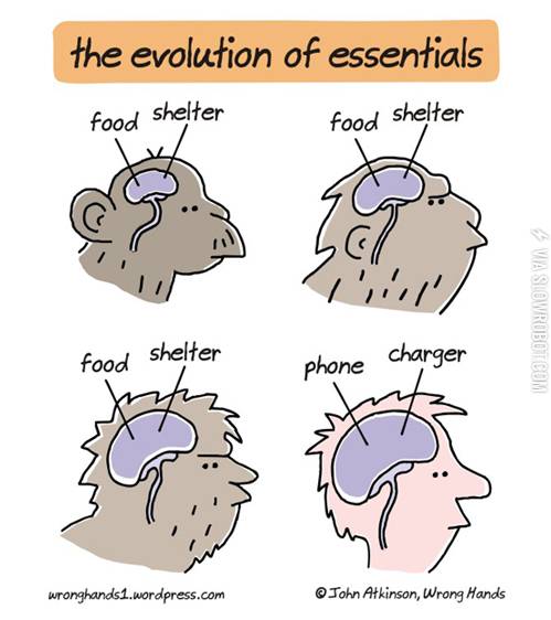 The+evolution+of+essentials.