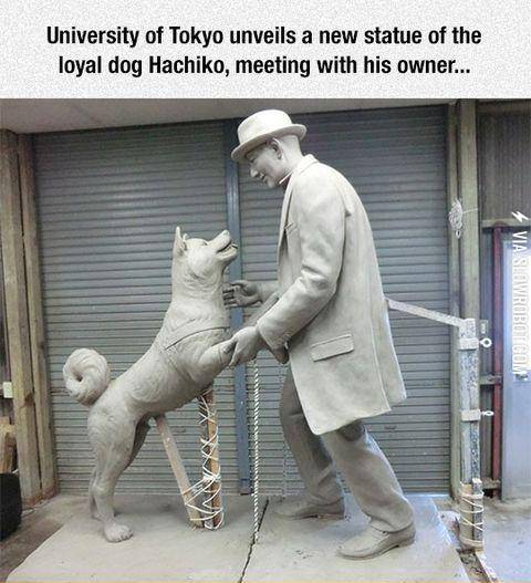 Looks+Like+I%26%23039%3Bm+Crying+Tonight