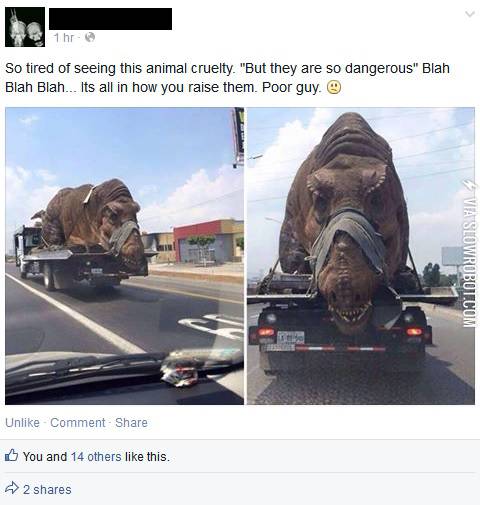 Its+all+in+how+you+raise+them