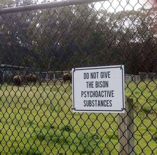 I%26%238217%3Bd+have+thought+that+would+be+obvious