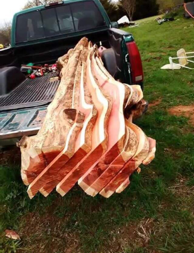 forbidden+bacon