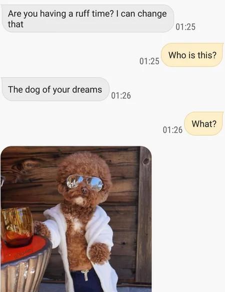 Are+You+Having+A+Ruff+Time%3F+%26%238211%3B+I+Can+Change+That%26%238230%3B