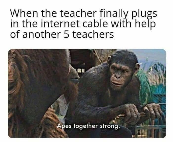 Their+home+life+must+be+miserable.