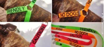 Such+a+good+idea+for+dog+lovers
