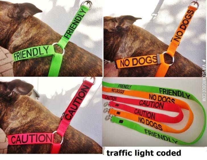 Such+a+good+idea+for+dog+lovers
