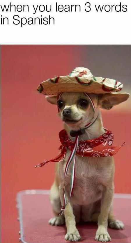 When+You+Learn+3+Words+In+Spanish