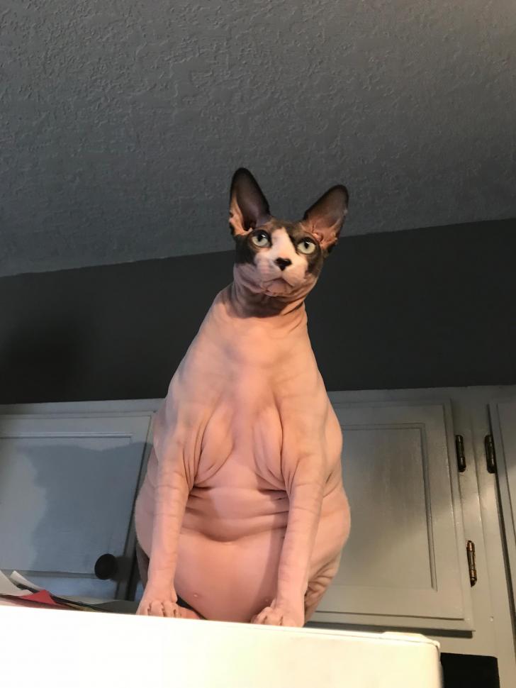 The+perfect+summer+body+doesn%26%238217%3Bt+exis%26%238230%3B