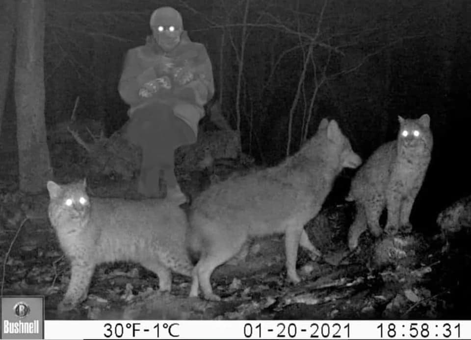 Last+night%26%238217%3Bs+trail+cam.