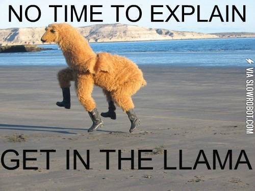 Get+in+the+llama.