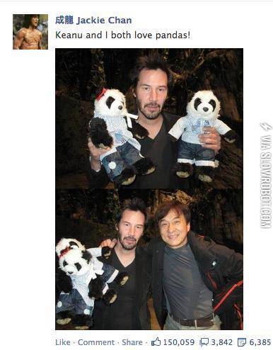 Keanu+and+Jackie+Chan%2C+panda+lovers+at+heart.