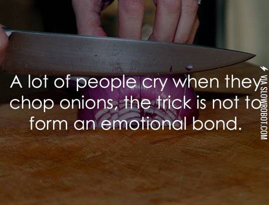How+to+chop+onions.