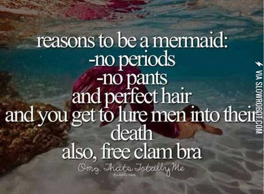 And+dingle+hoppers%26%238230%3B%26%238230%3B%26%238230%3B