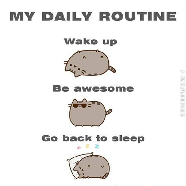My+daily+routine.