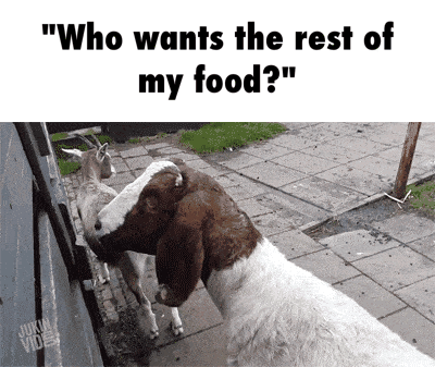 Who+wants+the+rest+of+my+leftovers%3F