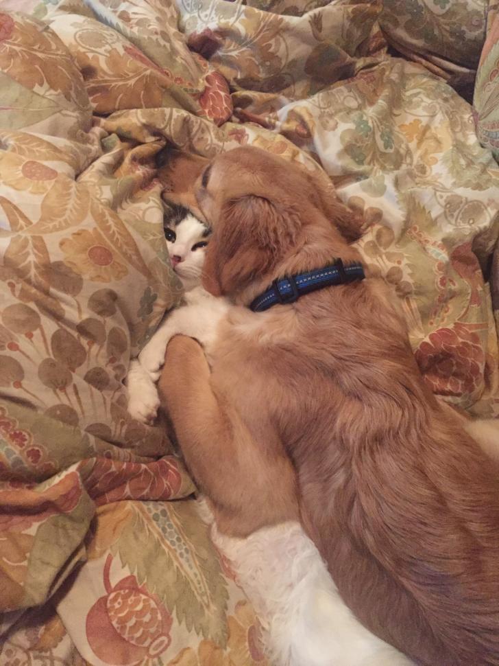 This+is+my+life+now.