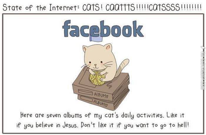 State+of+the+Internet%3A+Cats%21