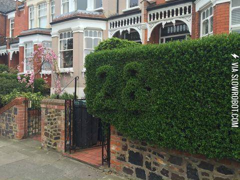 This+house+has+the+street+number+trimmed+in+the+hedge