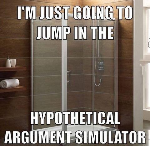 Hypothetical+argument+simulator