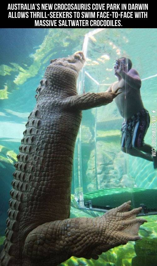 I+think+I%26%238217%3Bll+pass.