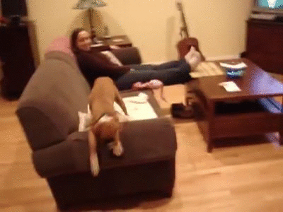 wigglewigglewigglewigglewigglewiggle%21%21