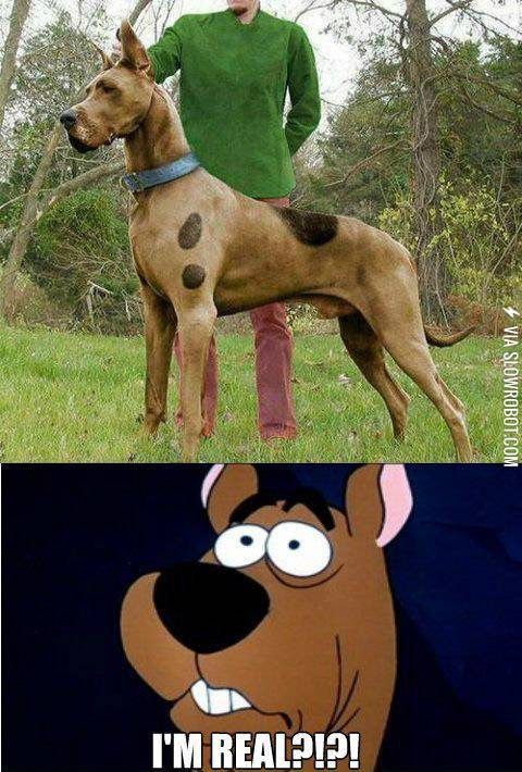 Real+life+Scooby-Doo%21