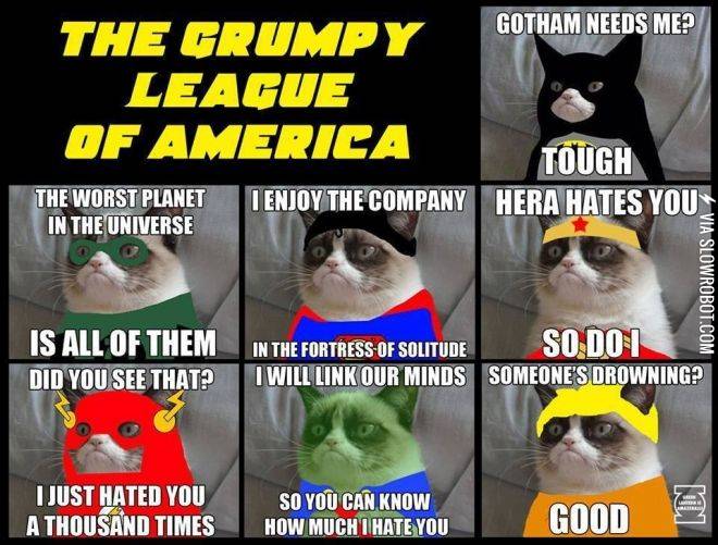 The+Grumpy+league+of+America.