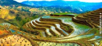 Banaue+Rice+Terraces%2C+Philippines