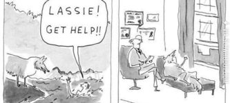 Lassie+Finally+Gets+Help