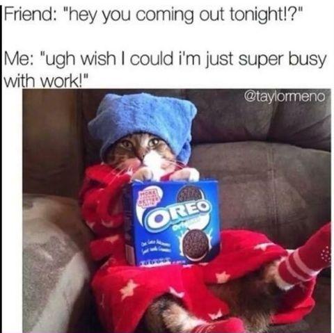 This+is+a+frequent+lie+I+tell