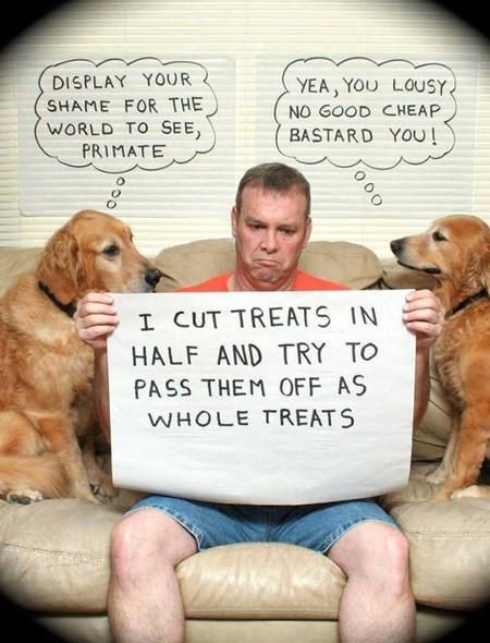 I+Cut+Treats+In+Half